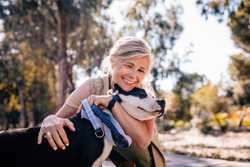 Best Pet Insurance for Older Dogs