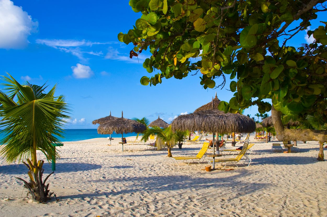 eagle beach in Aruba