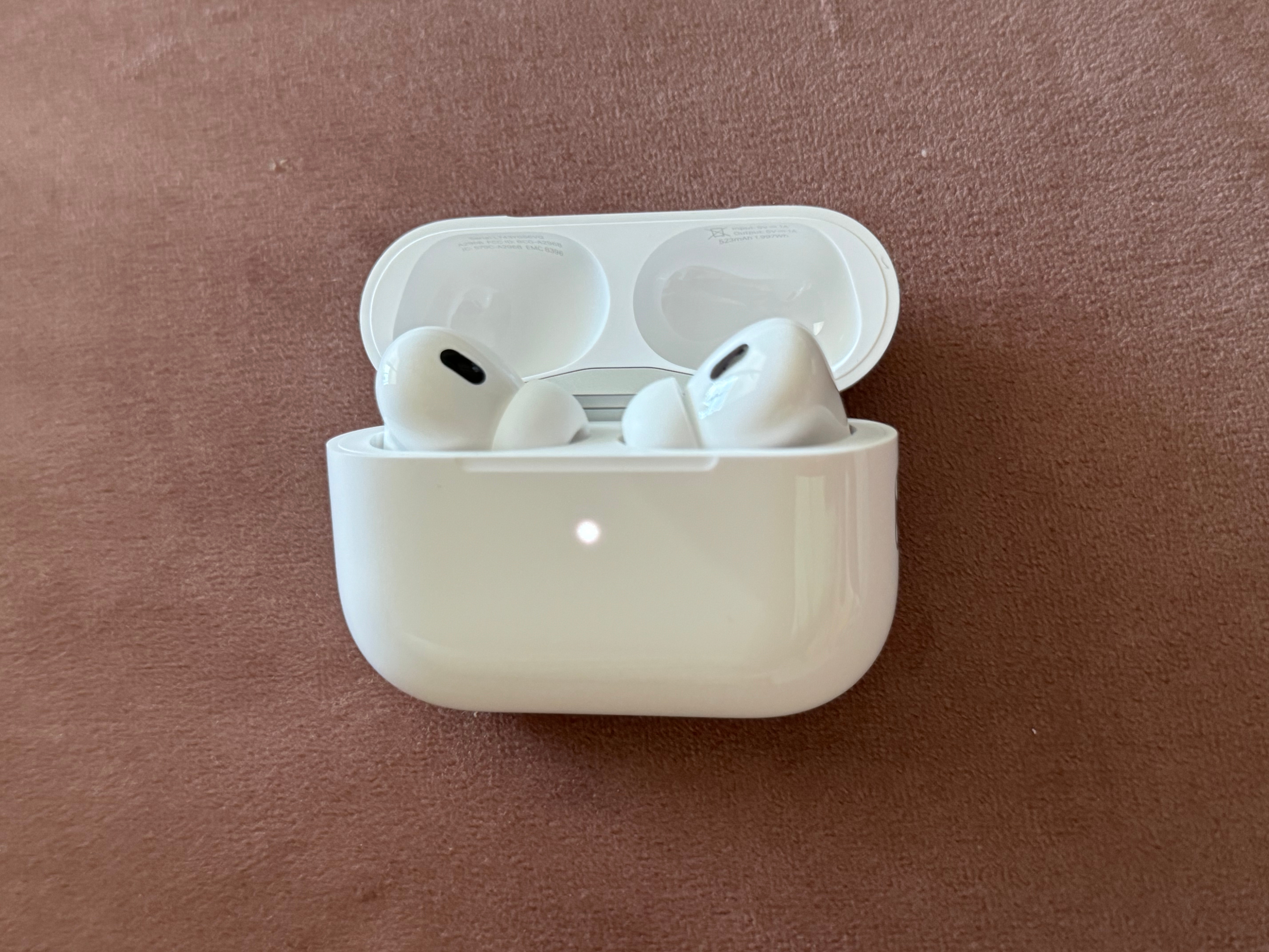 earbuds in case