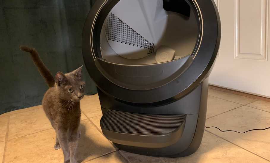 Litter robot 4 review