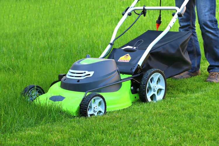 Electric Lawn Mower