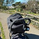 UPPAbaby Ridge Jogging Stroller 3