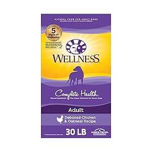 Wellness dog food